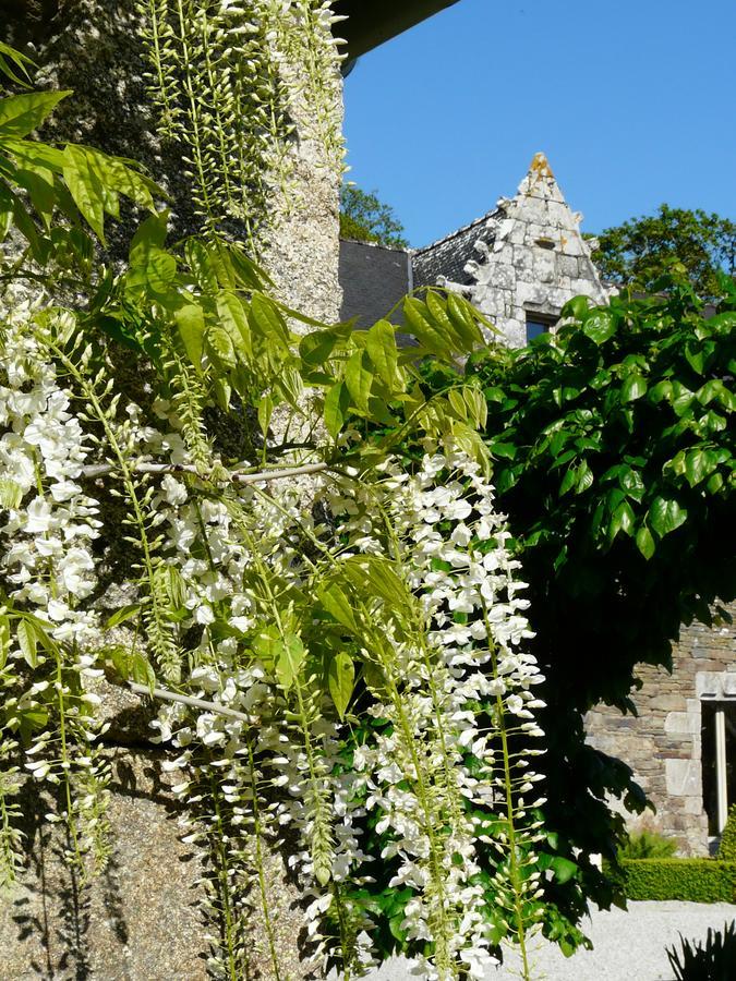 Manoir De Kerledan Carhaix-Plouguer Bagian luar foto