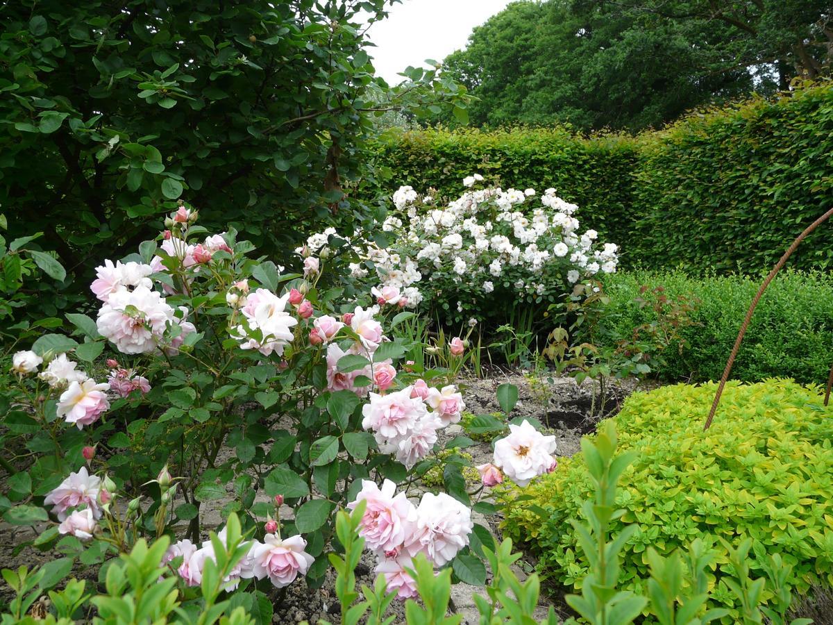 Manoir De Kerledan Carhaix-Plouguer Bagian luar foto